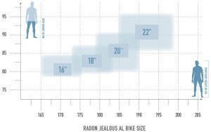 Radon Jealous AL 10.0 SL – Bild 10