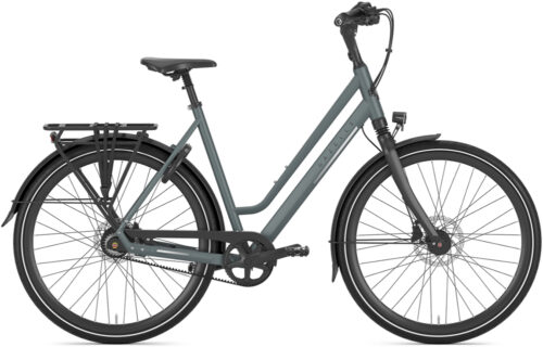Gazelle Chamonix S8 Low-Step