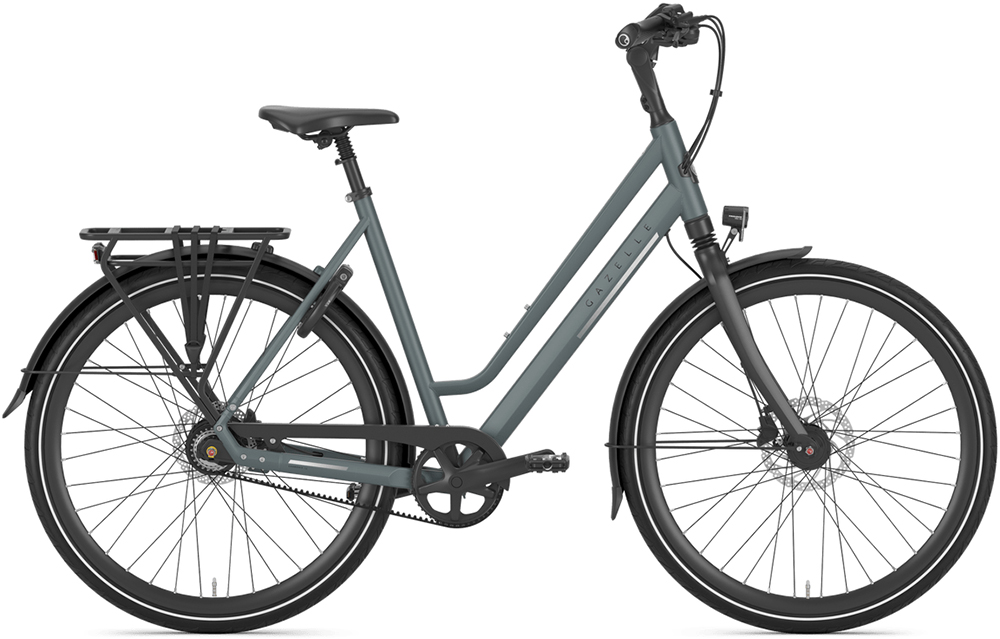 Gazelle Chamonix S8 Low-Step