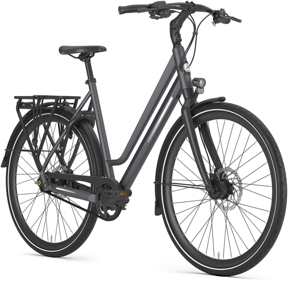 Gazelle Chamonix S11 Low-Step – Bild 2