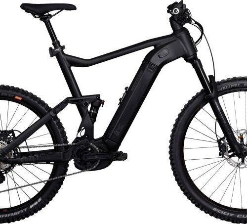 Kettler QUADRIGA DUO CX12 FS 1250W-Akku